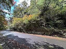 相楽郡南山城村大字田山小字三ツ石の土地