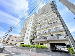 リリーハイツ港