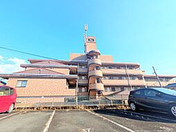 グレイス熊本壱番館 313