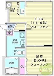 パールハイム桑園