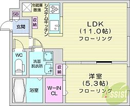 クレマティス円山