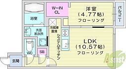 ディオクラシスN36(DIO CLASIS N36)