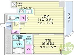 ハイコートN1