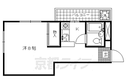 ヤングリーブス 205
