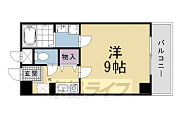 エテルノポッソ 505