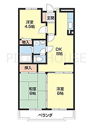 シャルル岩出 307