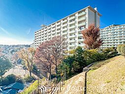 三ッ沢ハイタウン3号棟