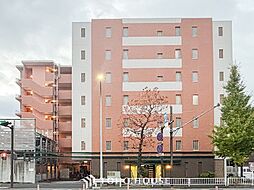 ハイセレサ菊名アクティール