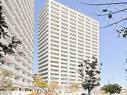 コットンハーバータワーズシーイースト