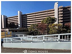 ダイアパレスワンダースケープ