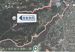 徳之島町井之川