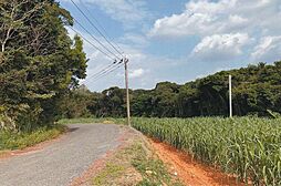 徳之島町井之川松山