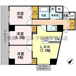 セリーン志村