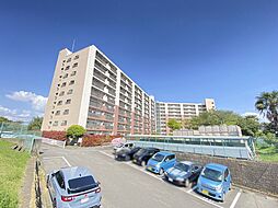市ドリームハイツ1号棟