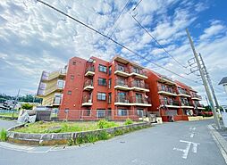 セザール第2海老名