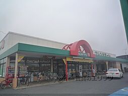 モラーダアオキ