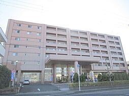 ベルヴィ　オウミ