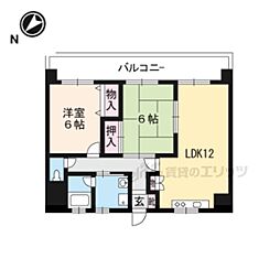 Ｇｒｅｅｎ　Ｃｏａｔ