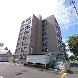 スプリングハイム緑町　703号室
