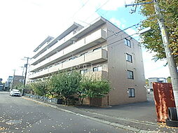 トニカ・ラ・メラ月寒東 501