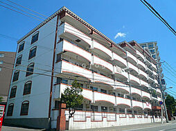 ドミローレル栗の実 510