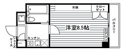 ラ・シェネガ
