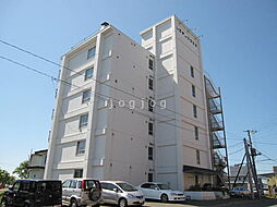 プレシャスワタナベ 302