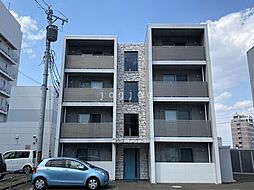 セントウレア 302