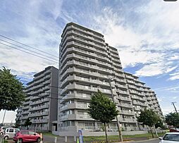 ロイヤルシャトー新琴似B棟 1003