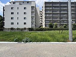 船橋市中野木第一　1号地