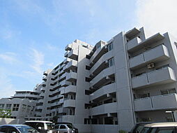 サーパス中津瀬6階