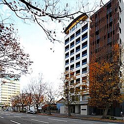 CASAα名駅南 305