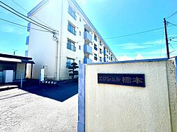 エクレール橋本　ペット可・1階