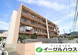 セルサス21 304