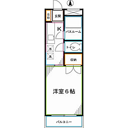 アイビーコートカナスギ