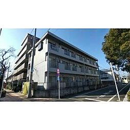 グレースプレジオ