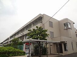 ピアレックスホンダ