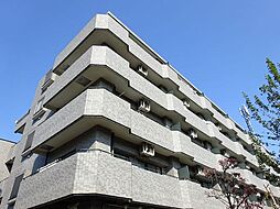 小金井市梶野町２丁目