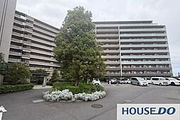 プレミアムフォート柏