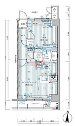 メインステージ菊川 0705