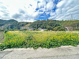 泉南郡岬町深日の土地