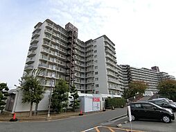 泉南市信達市場