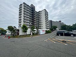 泉南市信達市場