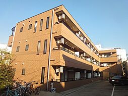 チェリーブラッサム 202