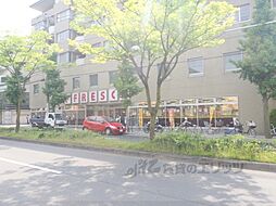京都市左京区北白川西瀬ノ内町