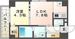 スペチアーレ大通