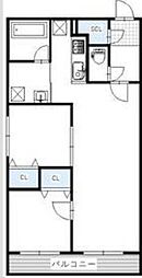 Ｃａｓｓｉｎａ　Ｎ21