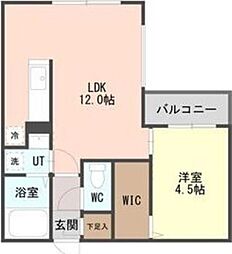 CARRERA(カレラ)行啓通