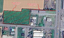 &amp;#20465；知安町高砂　土地