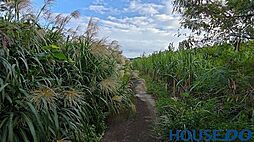 本部町瀬底　農地